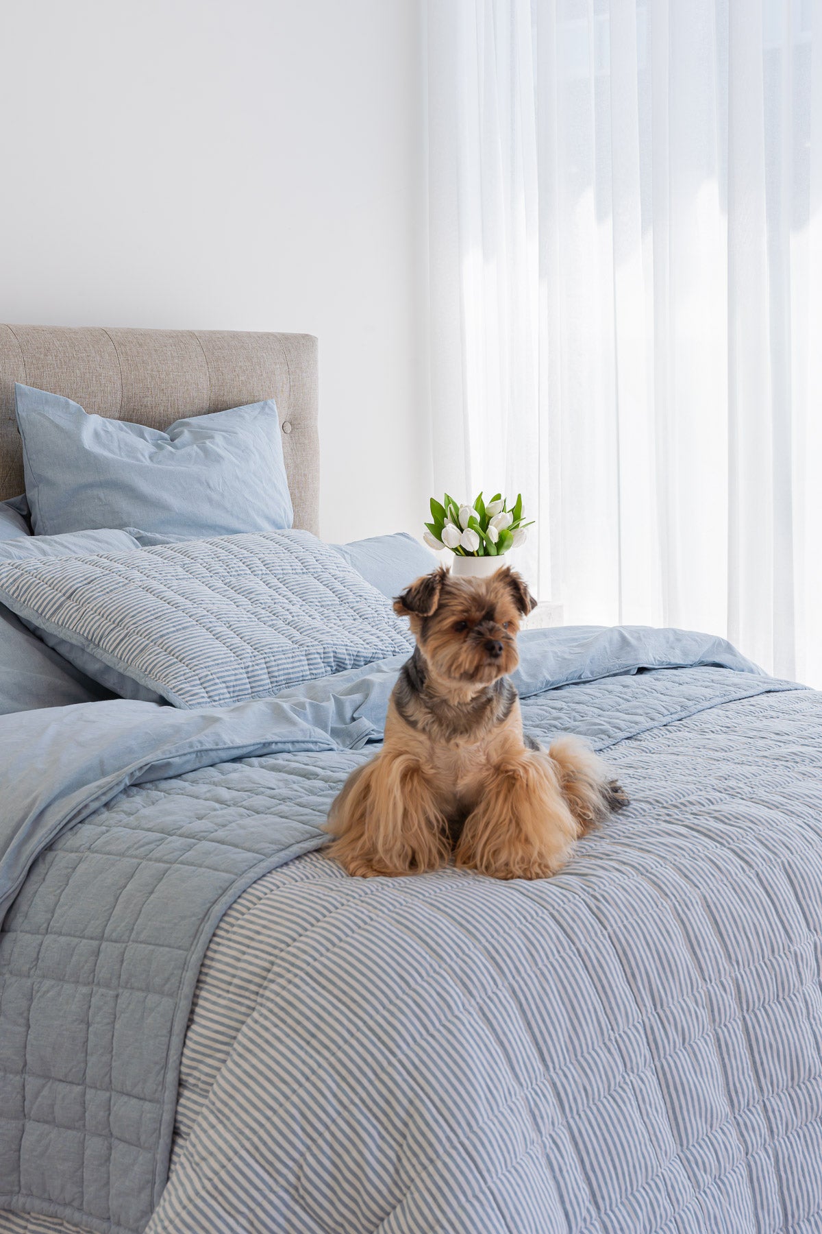 Quilted Lumbar Pillow - CIEL